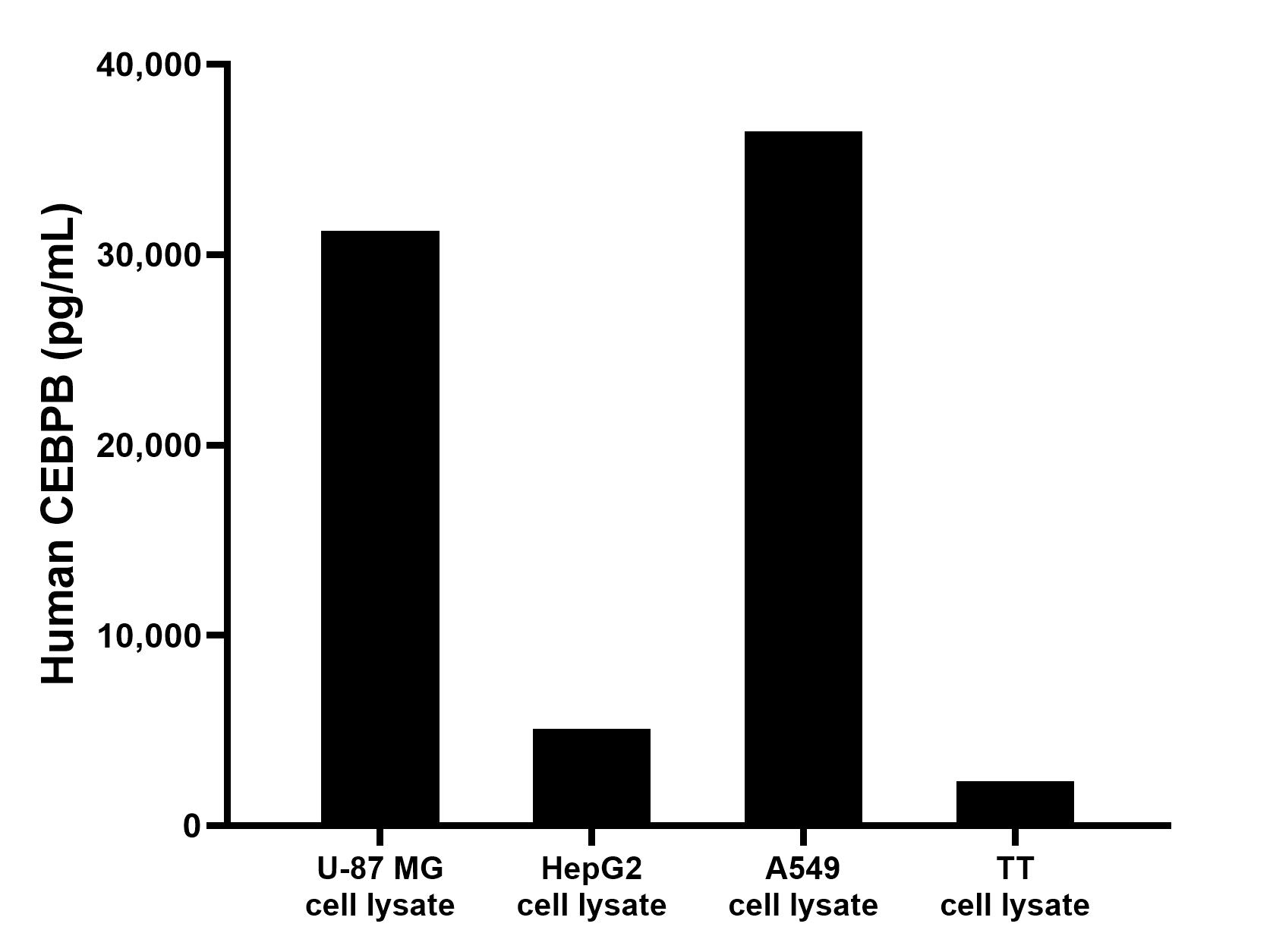 U-87 MG, HepG2, A549 and TT cell lysates were measured. The human CEBPB concentration of detected samples was determined to be 31,247.5 pg/mL (based on a 2.0 mg/mL extract load) in U-87 MG cell lysate, 5,095.4 pg/mL (based on a 1.2 mg/mL extract load) in HepG2 cell lysate, 36,477.3 pg/mL (based on a 1.0 mg/mL extract load) in A549 cell lysate and 2,346.0 ng/mL (based on a 1.0 mg/mL extract load) in TT cell lysate.